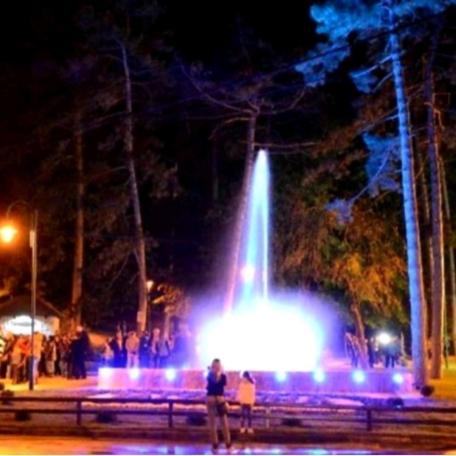 Апарт отель Wing Club Dajana Ягодина Экстерьер фото